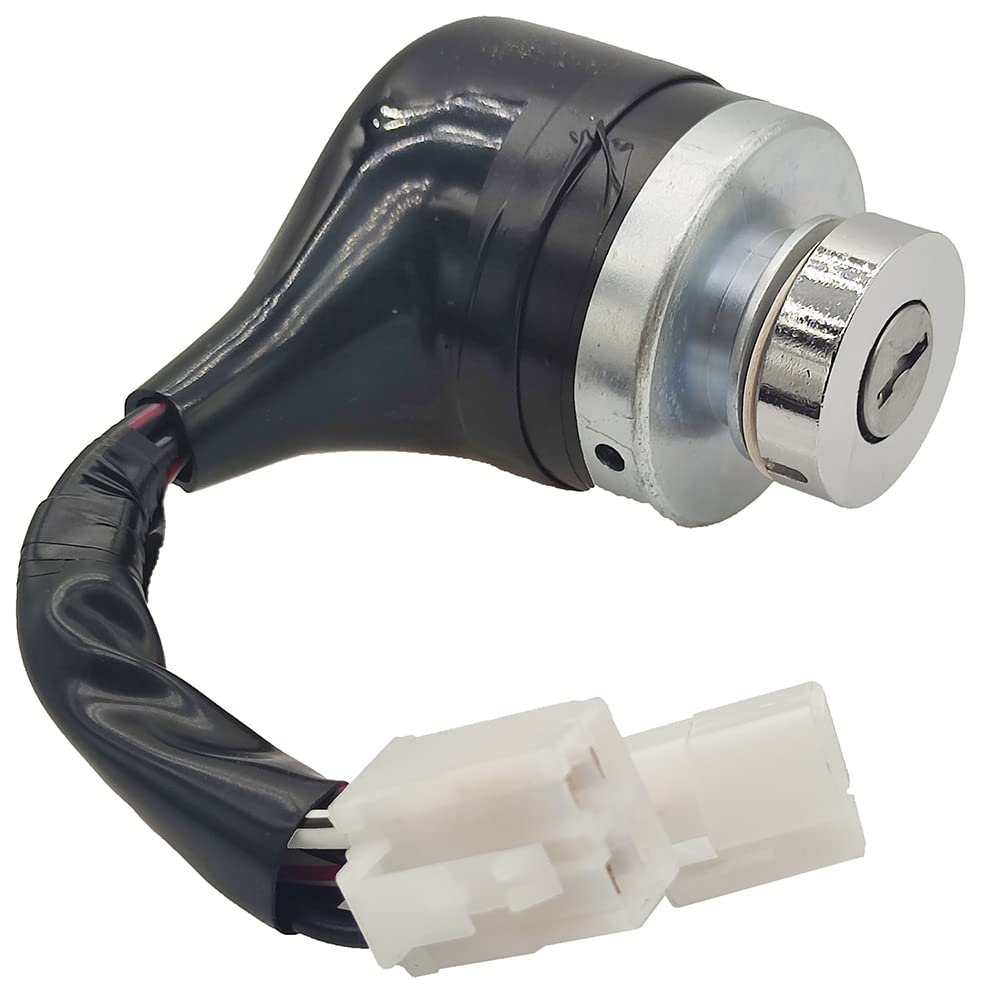 Amazon.com: XYZIL Ignition Switch AM876787 AM879479